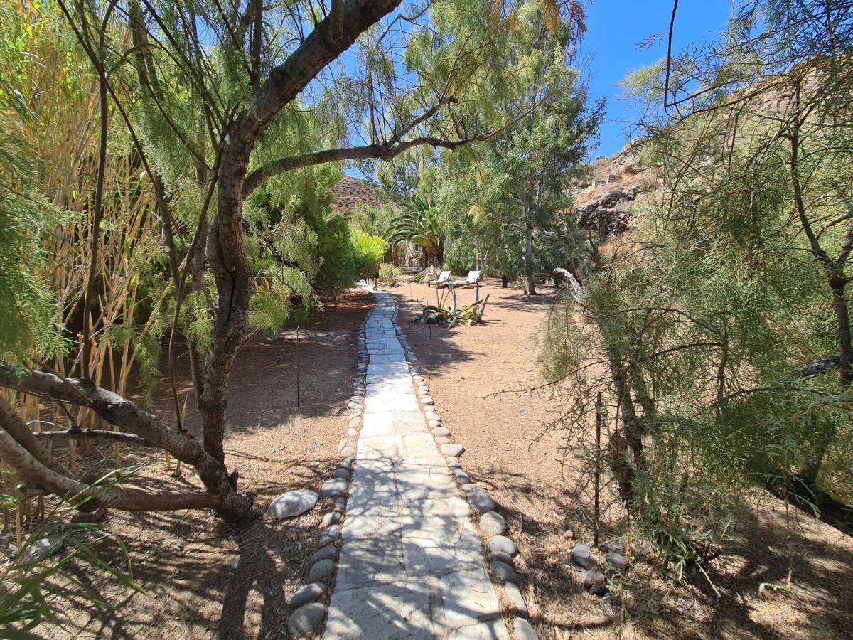 Nature Eco Living Serifos Λιβάδι Εξωτερικό φωτογραφία